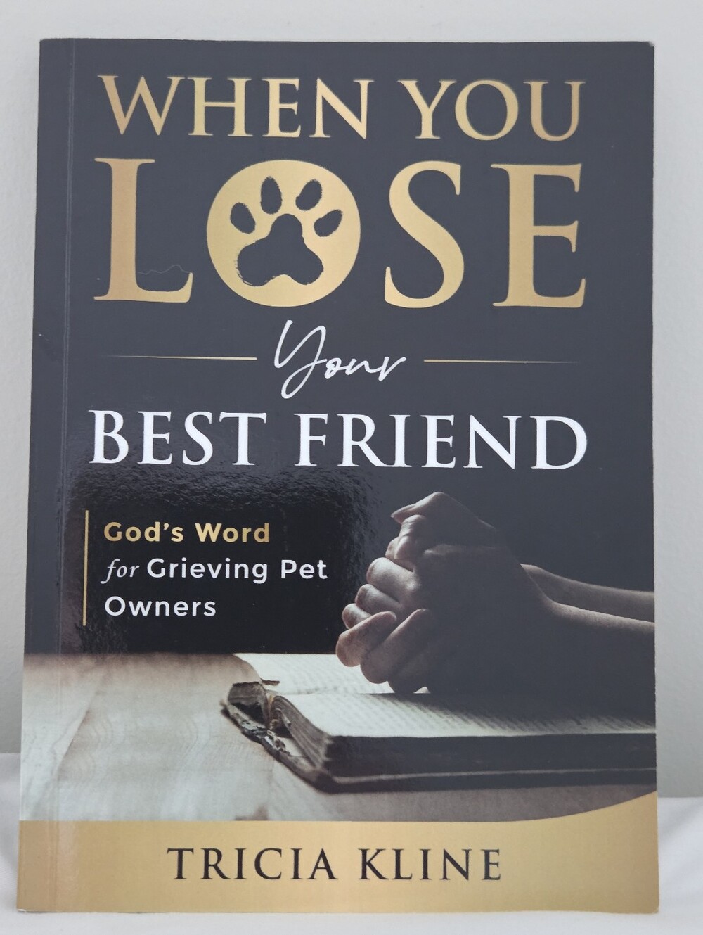 WHEN YOU LOSE YOUR BEST FRIEND BOOK